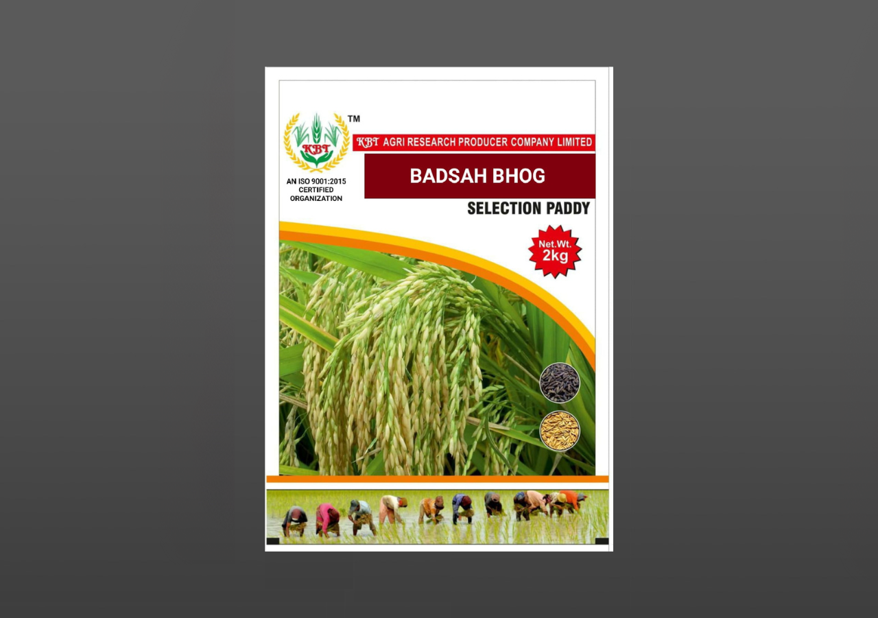 BADSAH BHOG (Sented) 2Kg - KBT Agri Research